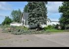 Pine limbs crowded the curb at the corner of Parker Ave. and Truman St. as Betty Harms worked to clear away smaller branches.