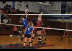 Sophomore Haley Poeschel hammered a shot into Elmwood territory.
