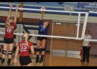 Sophomore Payton Johnson registered a kill against Elmwood.