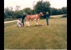 The “picture crew” on a visit to the farm during which they took photos of the Prestons’ Guernsey cows for use in Tri-State Breeders advertising.