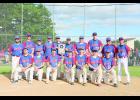 The Pepin-Alma Eagles baseball team took the sectional title June 7 with a solid 8-2 win over the Hurley Midgets to advance to the State tournament. They faced Rib Lake Wednesday morning, June 15, in the semi-finals. Submitted Photo