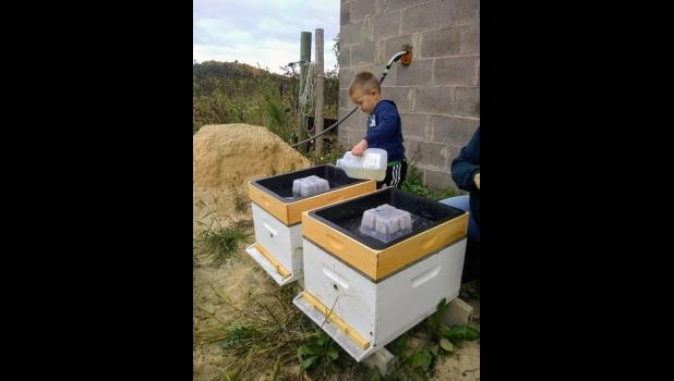 Brett Bohac is on his way to be the 5th generation of beekeepers in the Bohac family. Here he is helping to feed the bees as they pack away syrup for the winter.
