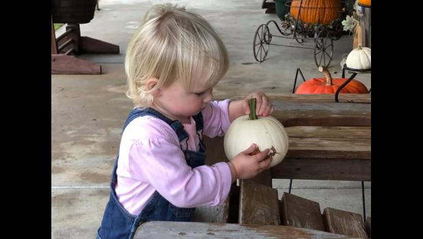 Kara, Frank and Sue’s granddaughter, likes being at the pumpkin patch too.