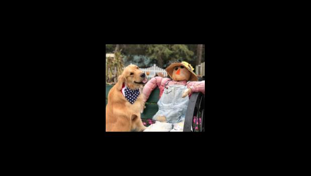 Riggs says “I don’t know this guy and he sure doesn’t say much!”