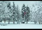 The United States flag stands out amid the black-and-white setting of Veterans Park following Thursday night’s storm that dumped between 11 and 13 inches of heavy, wet snow on the area.